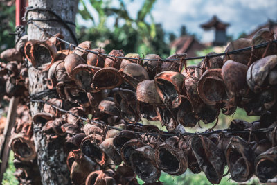 Ubud, Indonesia — fine art travel photography print available from Clever Tourists