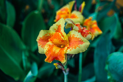 Seogwipo, South Korea — fine art travel photography print available from Clever Tourists
