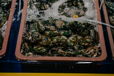 Seogwipo, South Korea — fine art travel photography print available from Clever Tourists