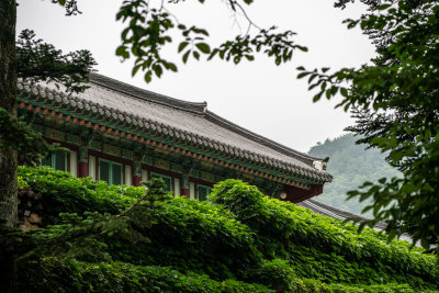 Sokcho, South Korea