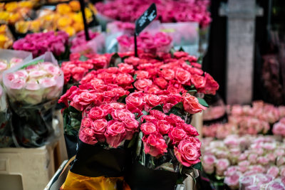 Frankfurt, Germany — fine art travel photography print available from Clever Tourists