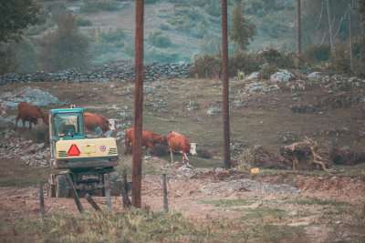 Gusinje, Montenegro