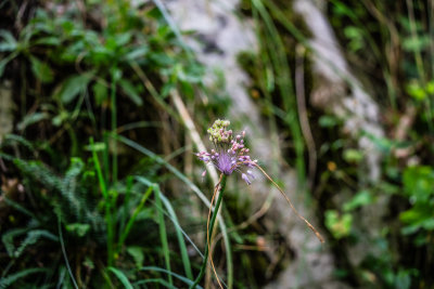 Gusinje, Montenegro — fine art travel photography print available from Clever Tourists