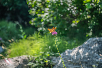 Gusinje, Montenegro — fine art travel photography print available from Clever Tourists