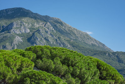 Stari Bar, Montenegro — fine art travel photography print available from Clever Tourists