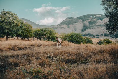 Korce, Albania — fine art travel photography print available from Clever Tourists