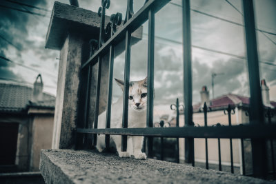 Korce, Albania — fine art travel photography print available from Clever Tourists