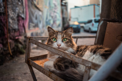 Istanbul, Turkey — fine art travel photography print available from Clever Tourists