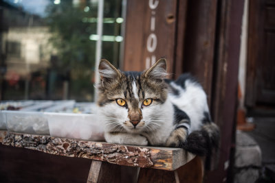 Ankara, Turkey — fine art travel photography print available from Clever Tourists