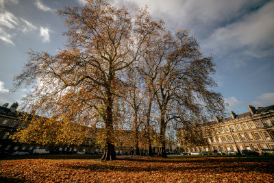 Bath, England — fine art travel photography print available from Clever Tourists