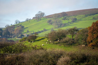 Rowberrow, England — fine art travel photography print available from Clever Tourists