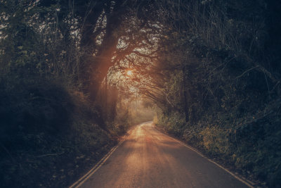 Rowberrow, England — fine art travel photography print available from Clever Tourists