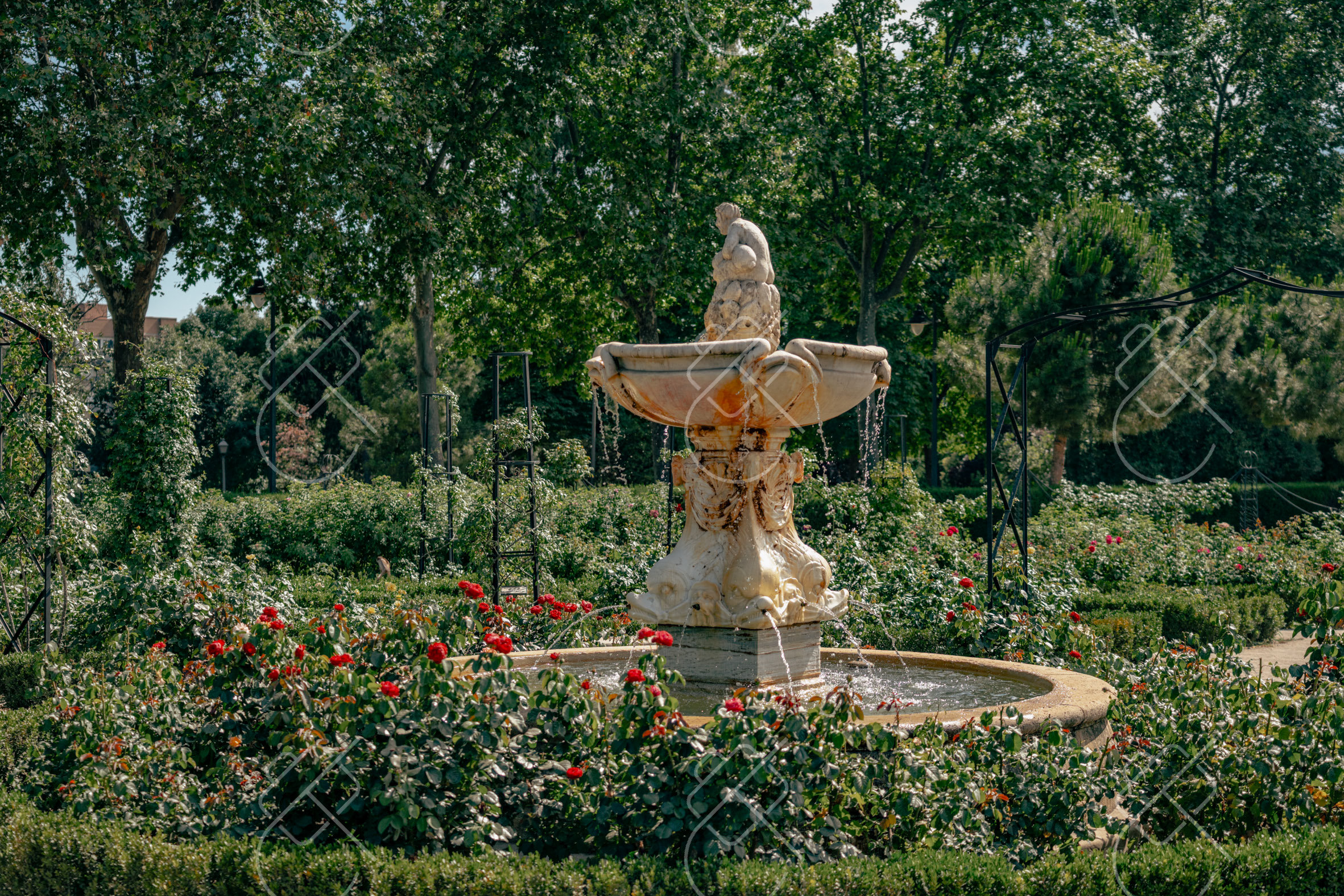 Madrid, Spain — travel photograph, June 2022