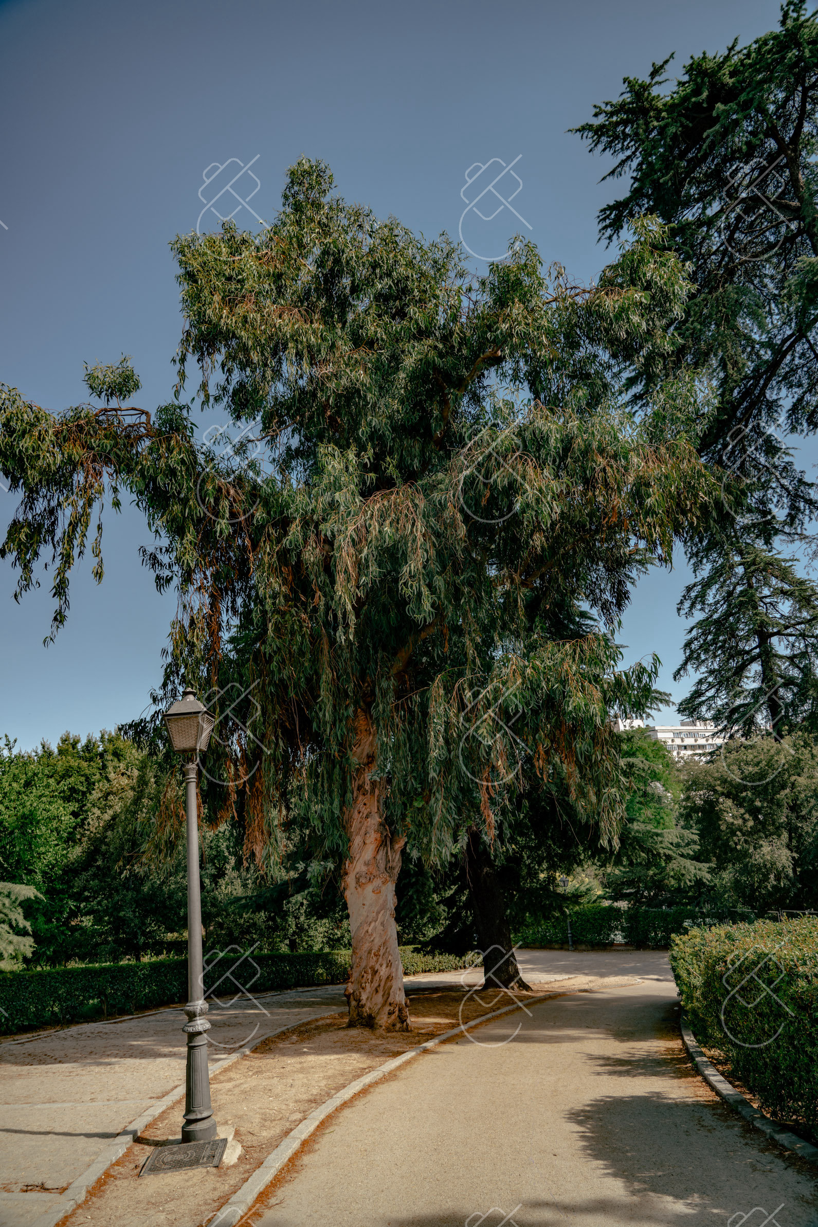Madrid, Spain, June 2022