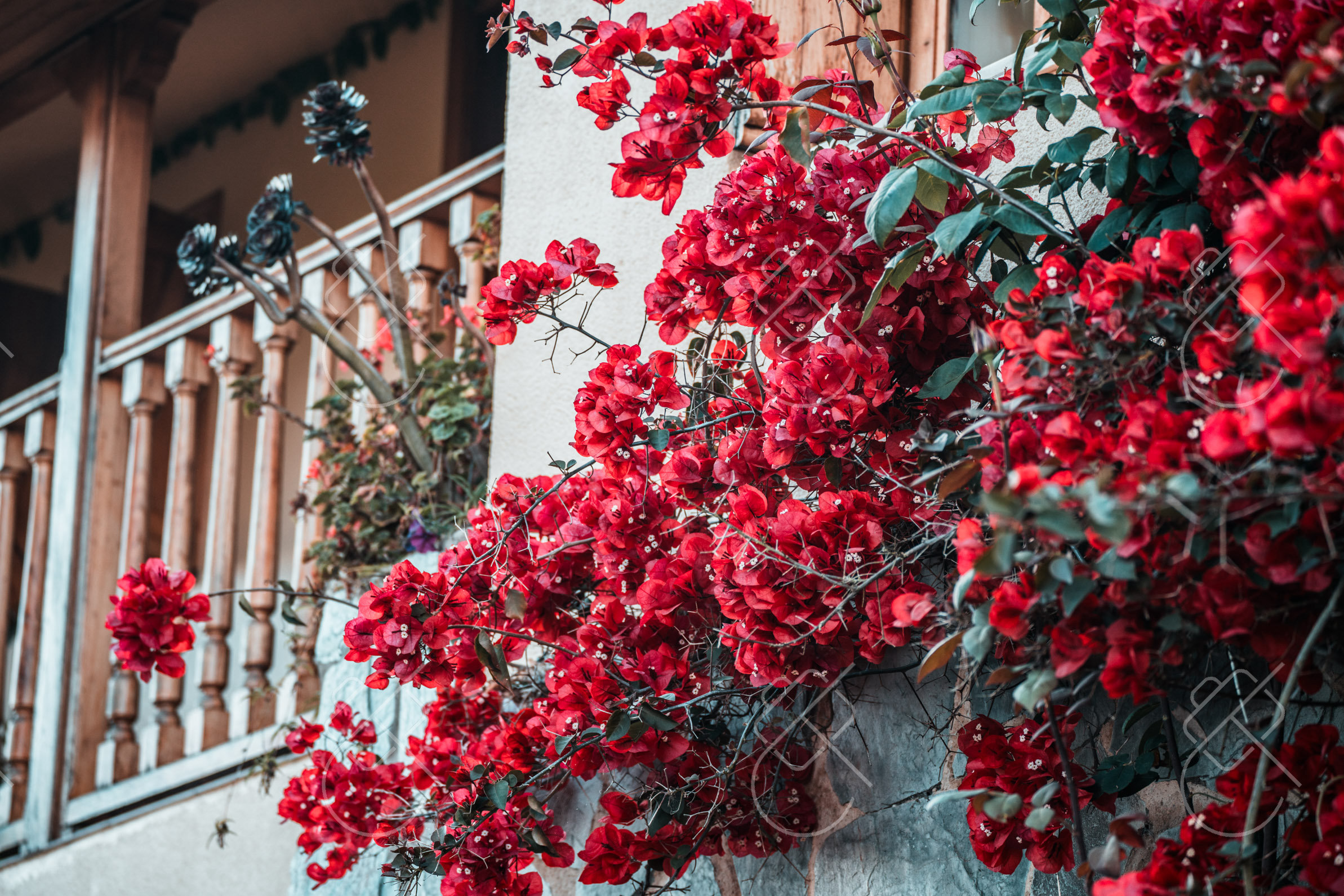 View & buy this print Oviedo, Spain — Travel