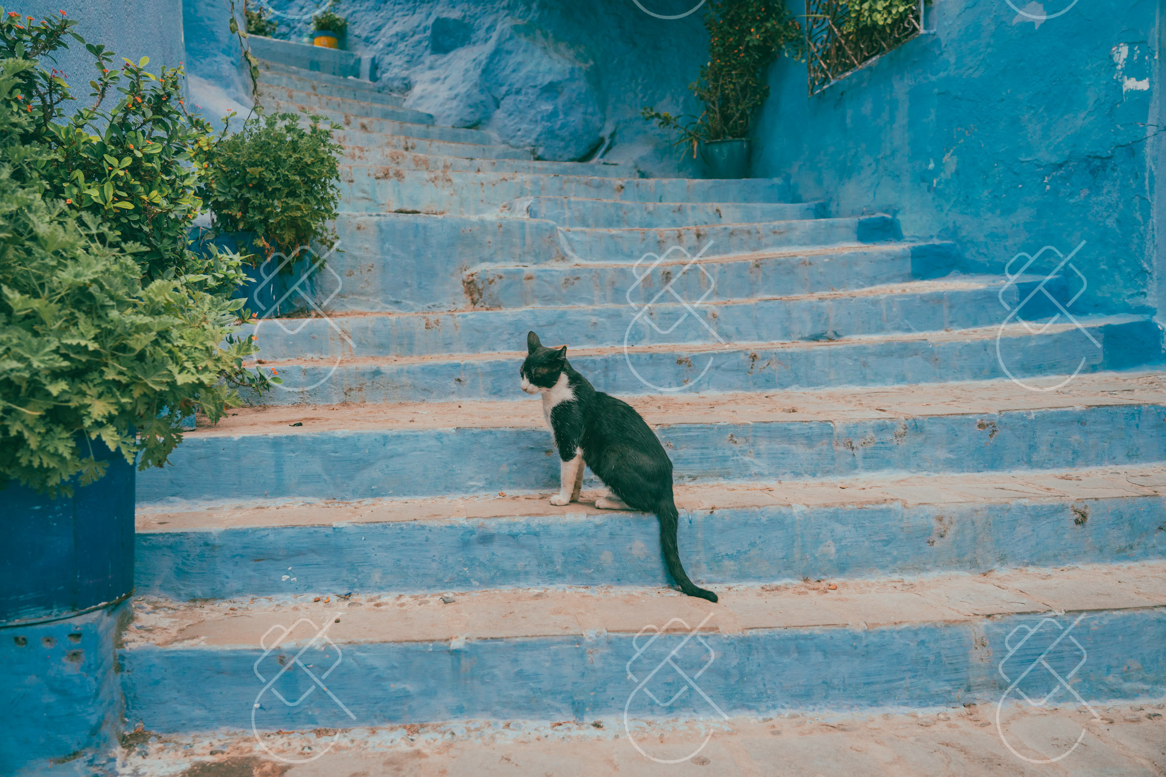 View & buy this print The Blue Medina — fine art travel photography print available from Clever Tourists