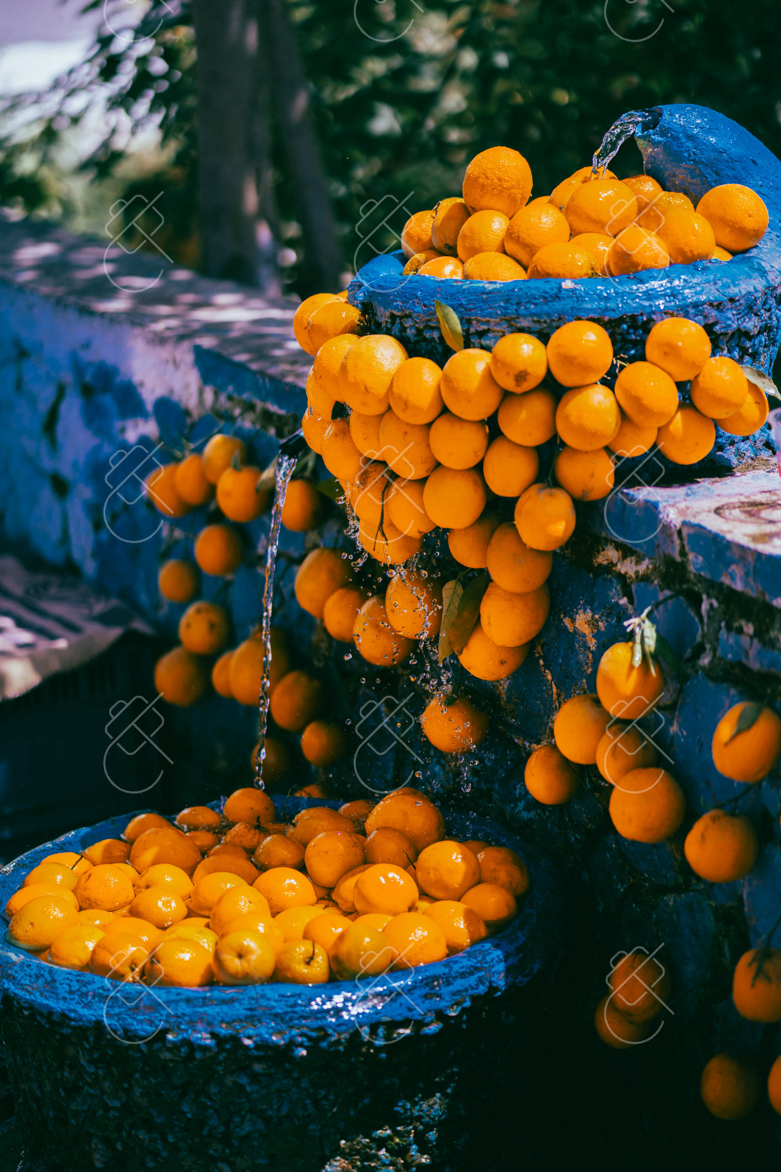 Oranges in a Blue Fountain, photographed in Chefchaouen, Morocco