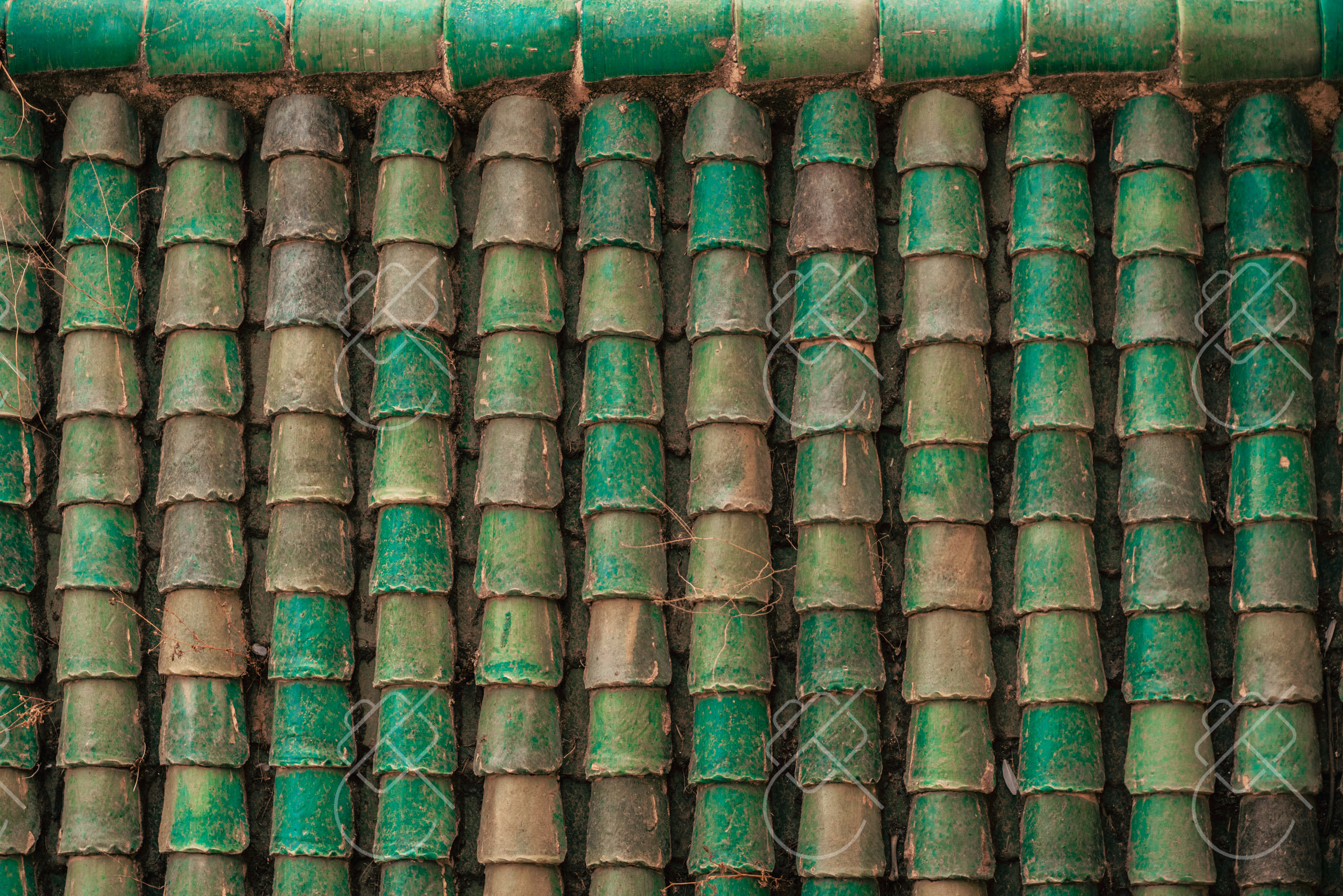 Green Roof Tile Scallops, photographed in Fes, Morocco
