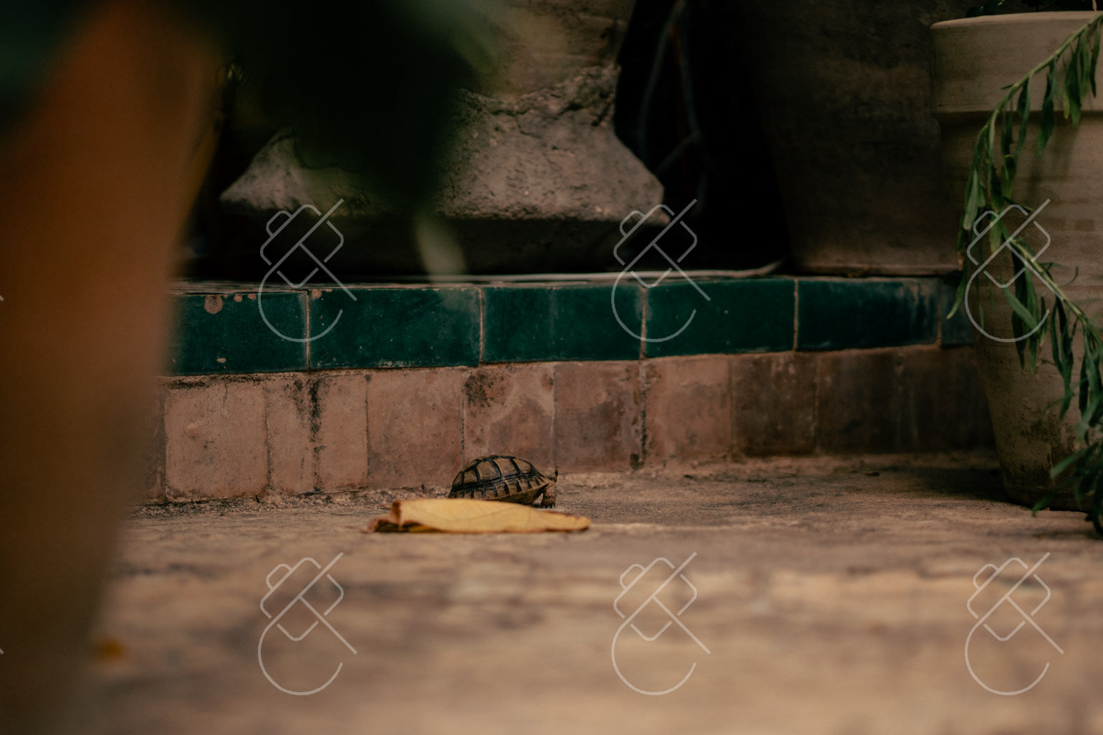 Fes, Morocco, September 2022