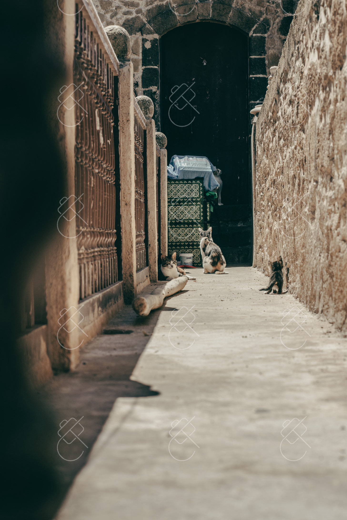 Essaouira, Morocco, September 2022