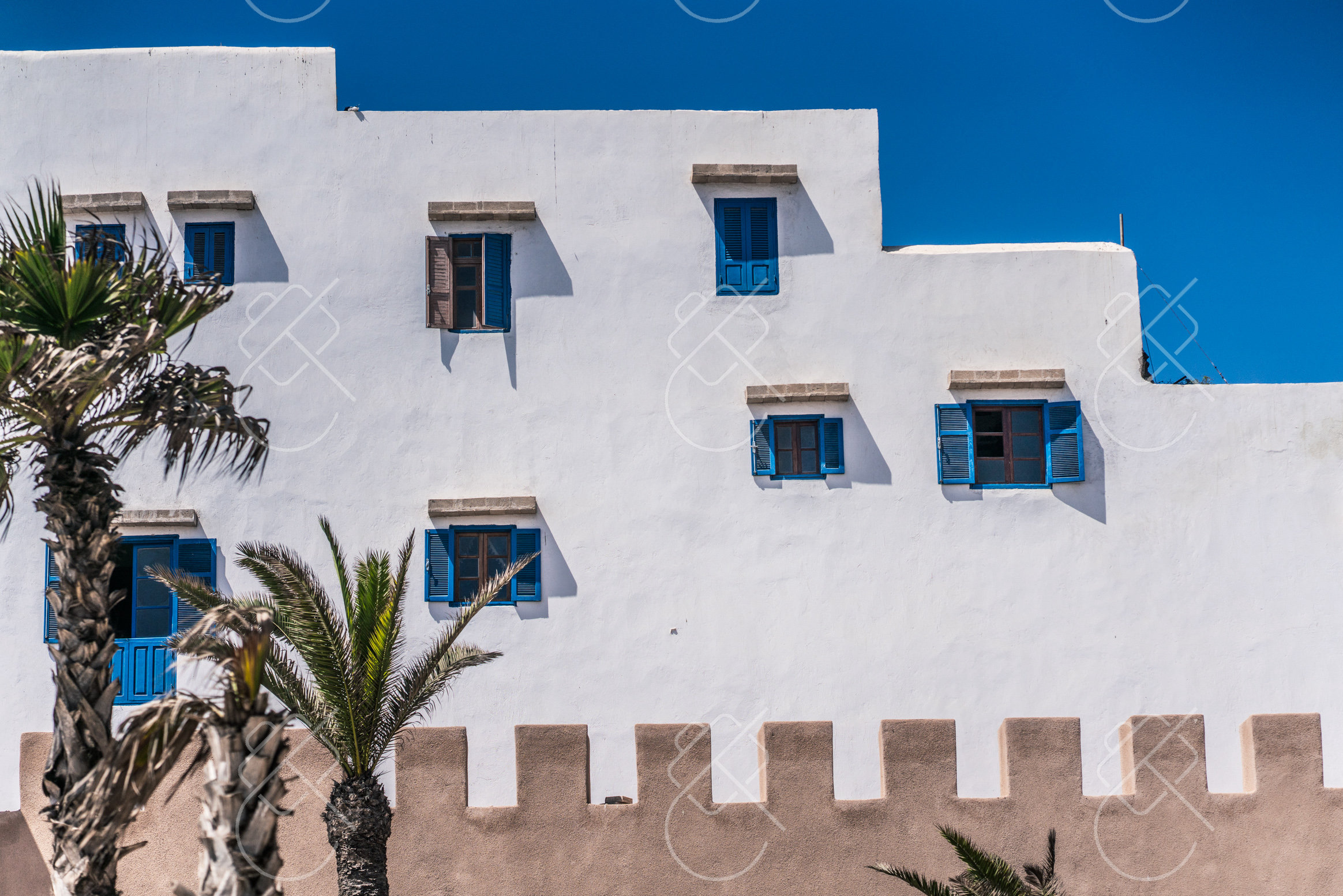Whitewashed walls, blue shutters and palms above the crenellated medina ramparts — Essaouira, fine art travel photography print available from Clever Tourists
