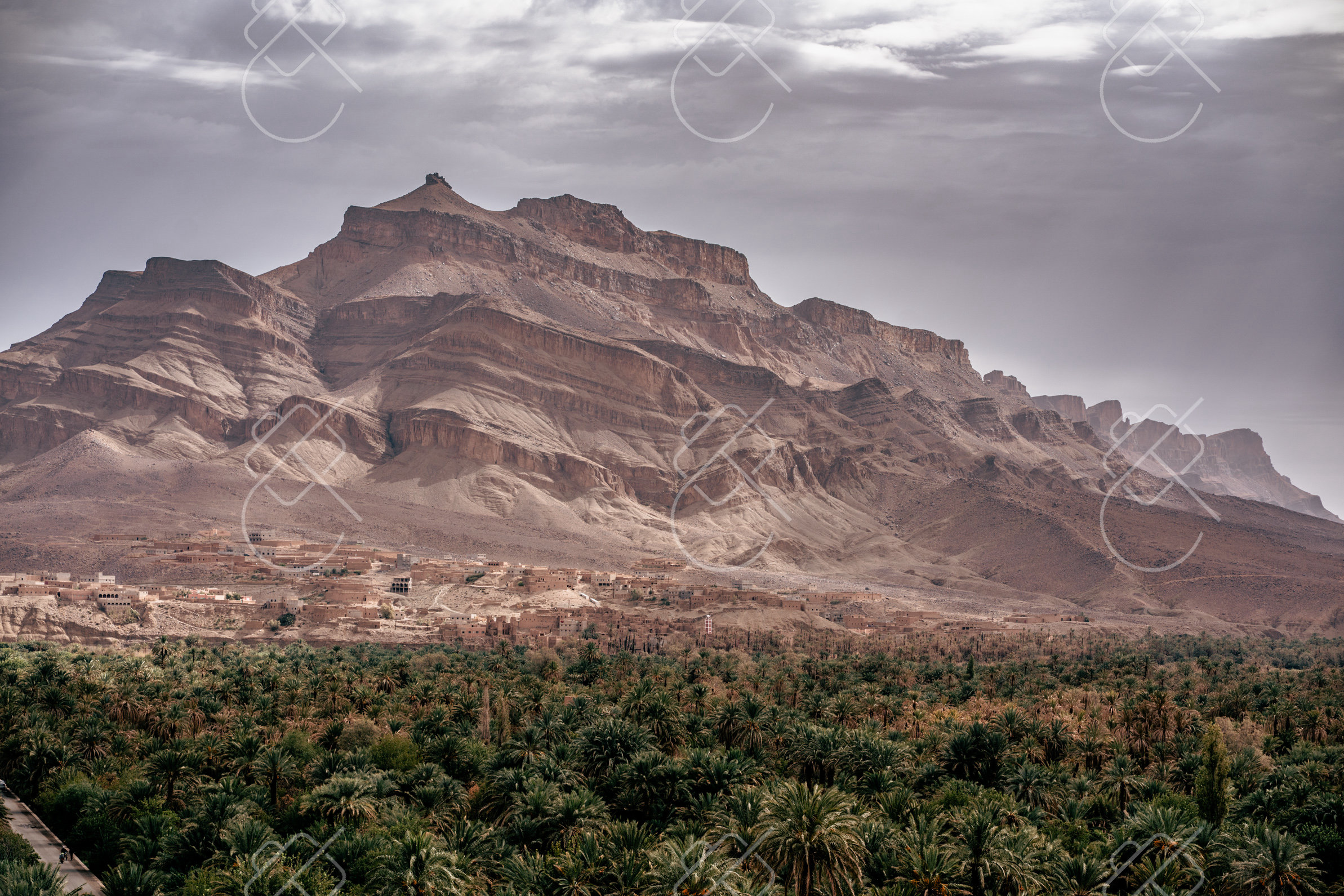 Zagora, Morocco — Nature