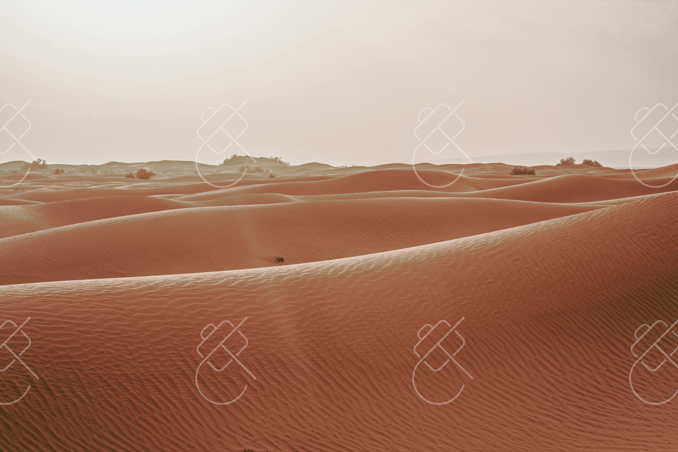 Marrakech & the Sahara, Morocco