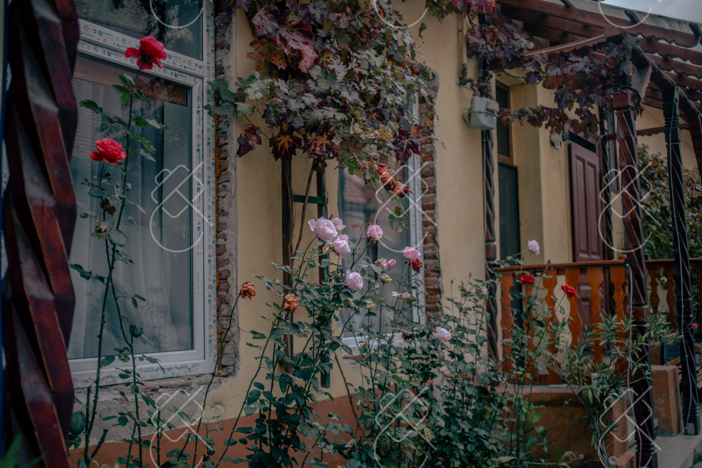 Best Time to Visit Romania: Transylvania, the Mountains, Bucharest and the Black Sea by Month
