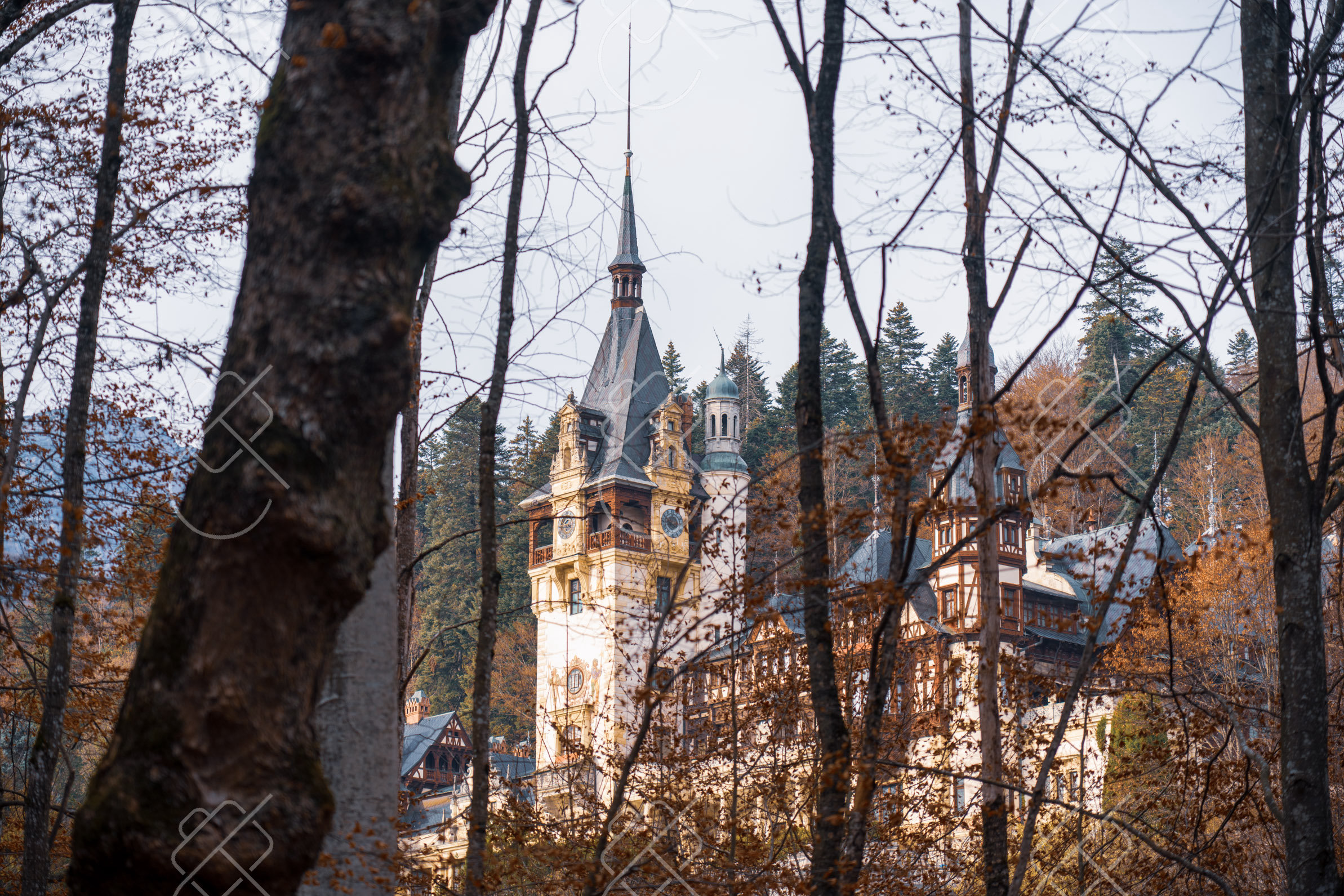 A Peleș Castle spire framed by bare autumn branches — Sinaia