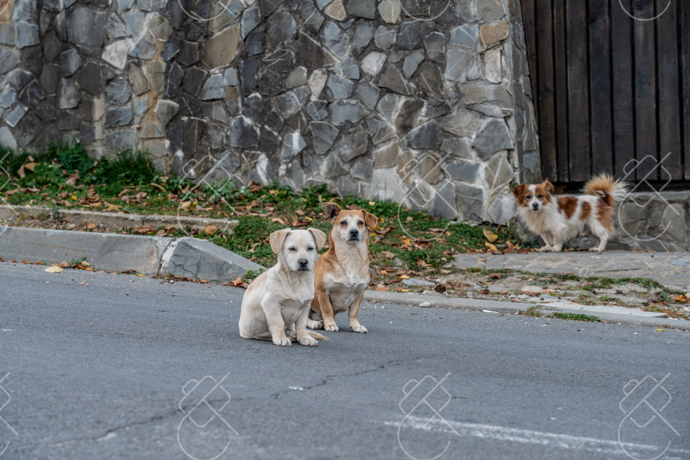 Sinaia, Romania, November 2022