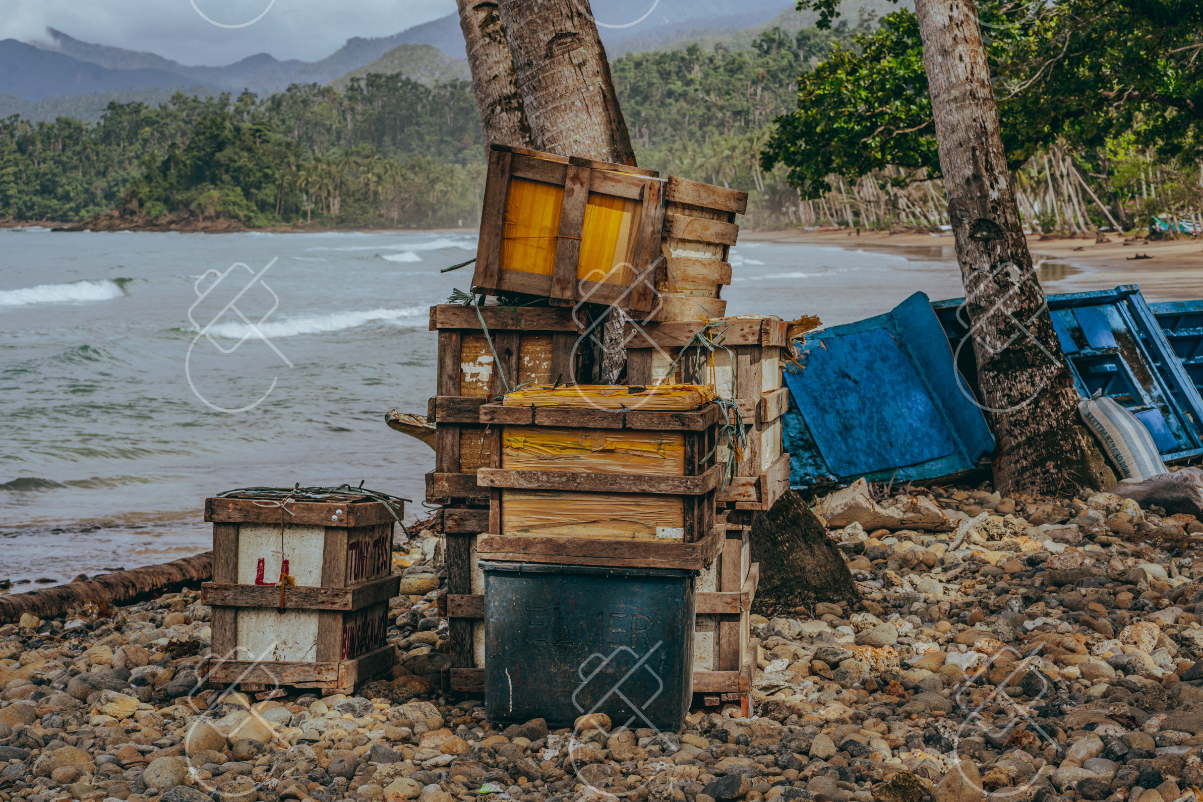 Cebu City to Oslob and Moalboal: Ceres Bus, Van and Private Transfer