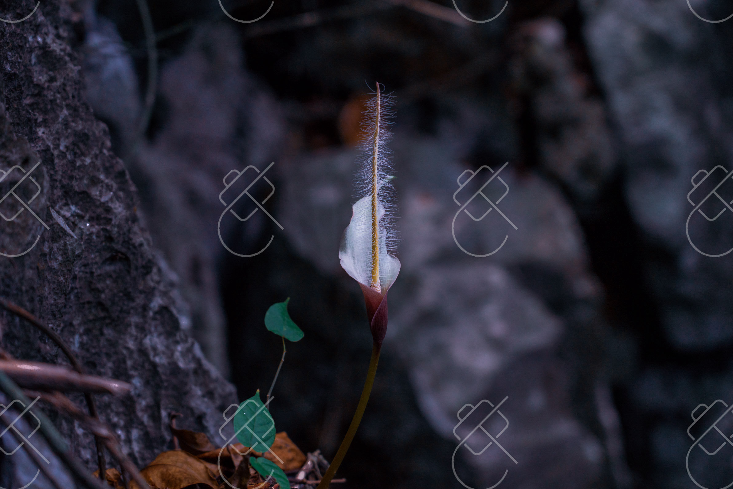 El Nido, Philippines, November 2022