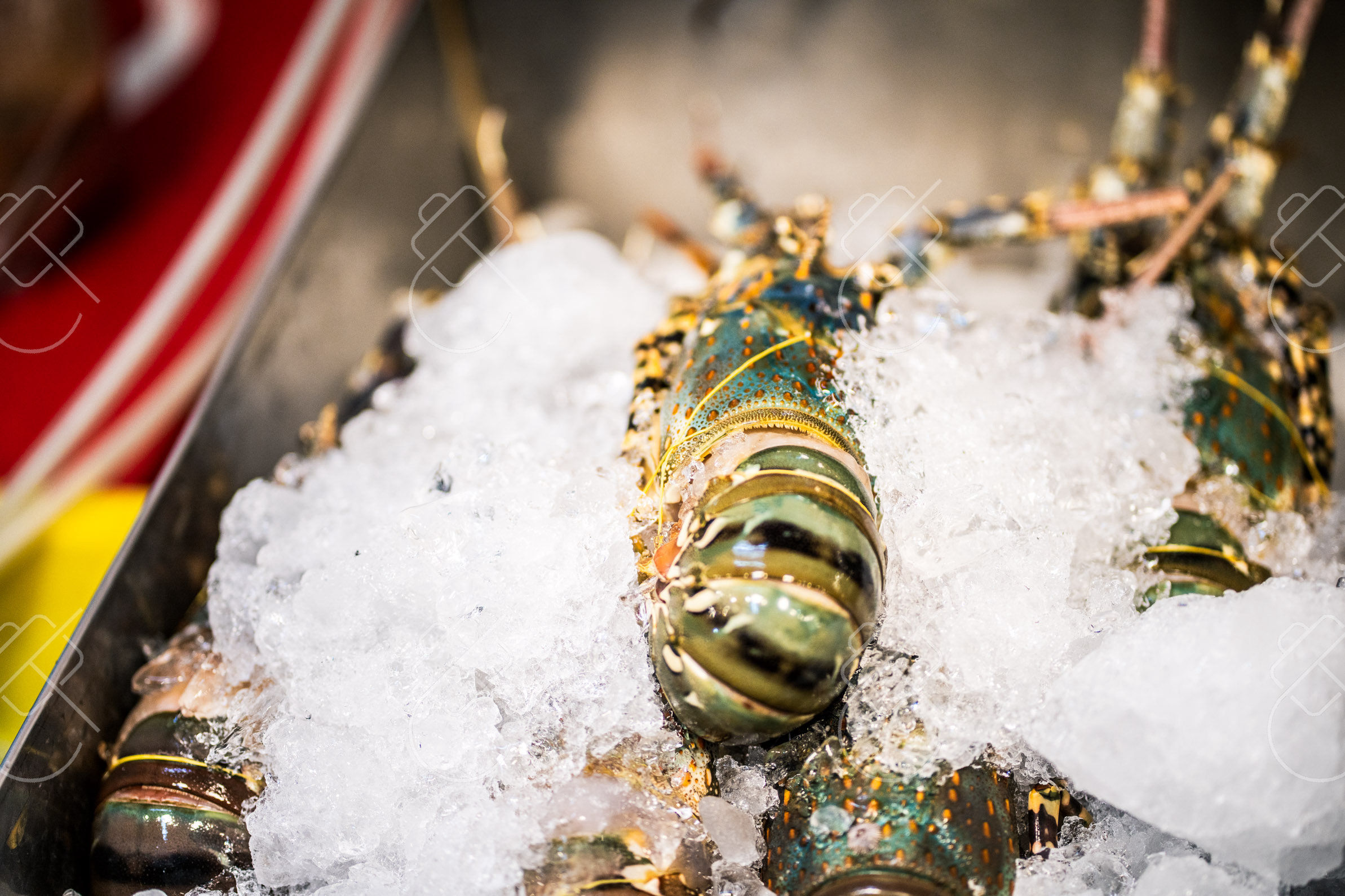 Fresh seafood on ice at a street stall — Bangkok, fine art travel photography print available from Clever Tourists