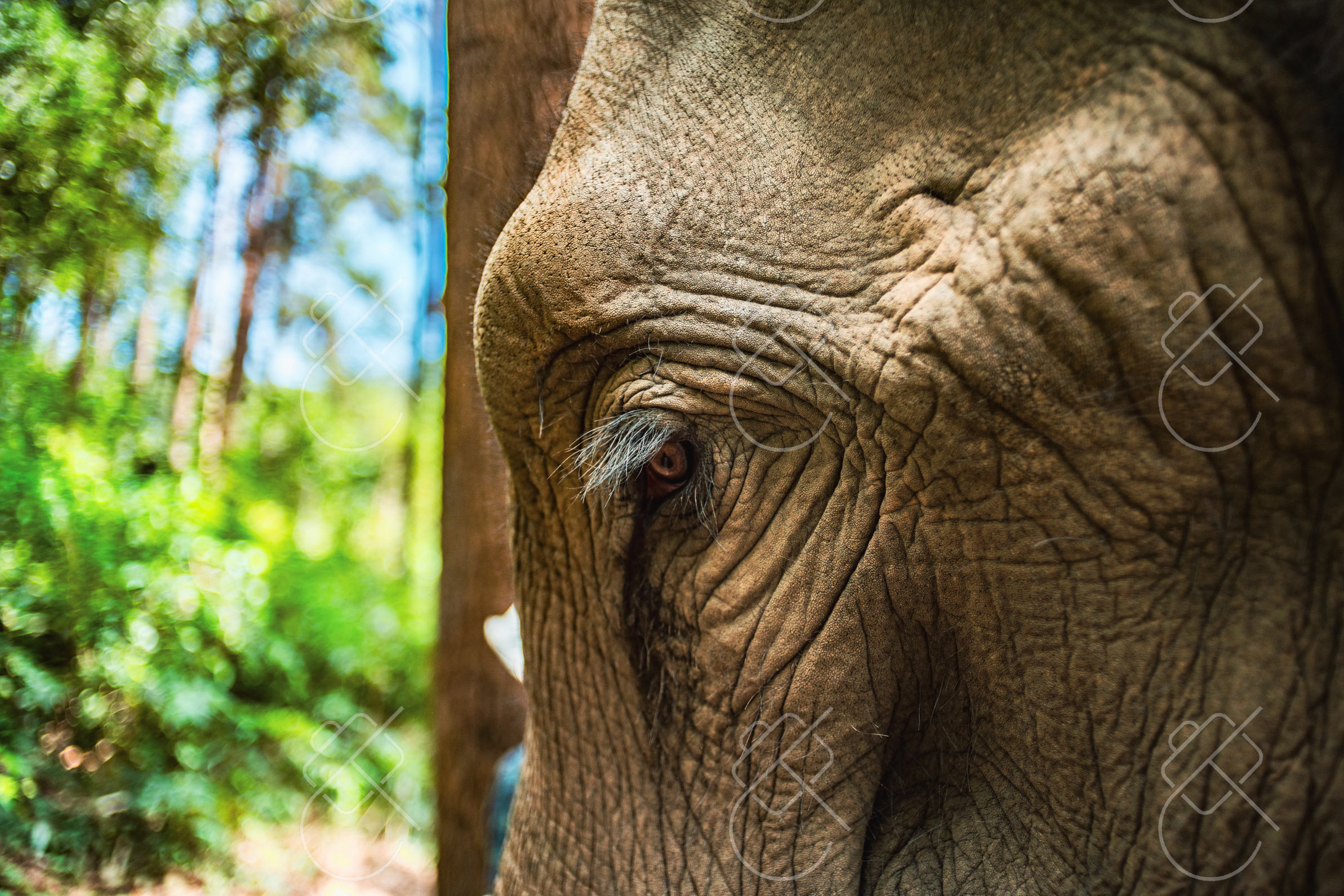 Chiang Mai, Thailand — travel photograph, December 2022
