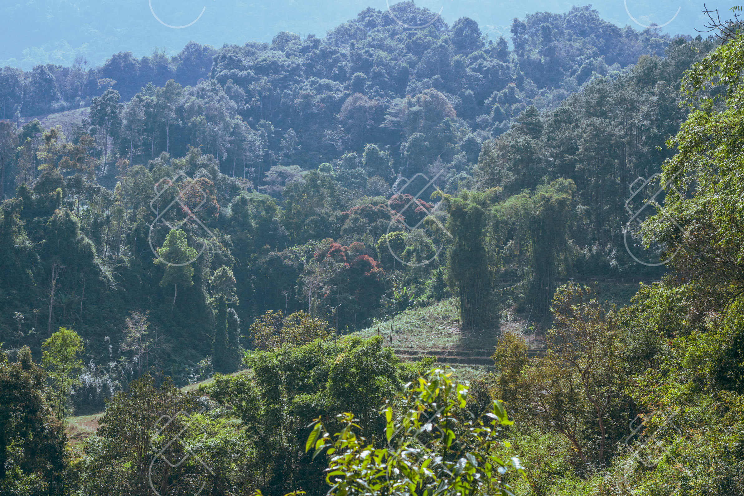 Chiang Mai, Thailand, December 2022