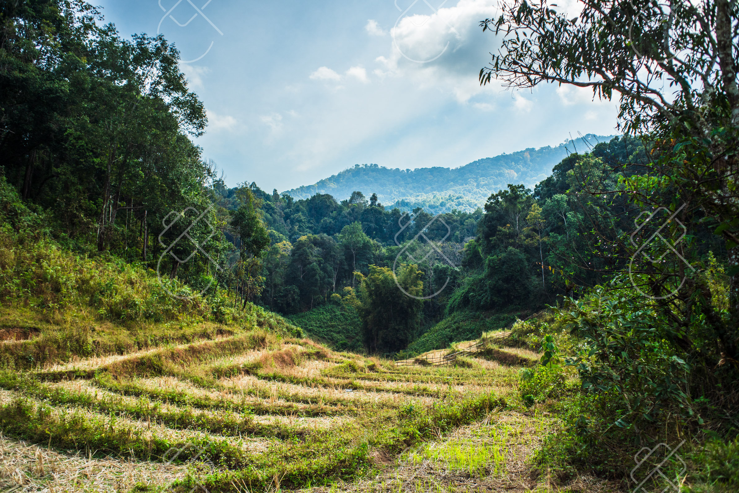 Chiang Mai, Thailand, December 2022