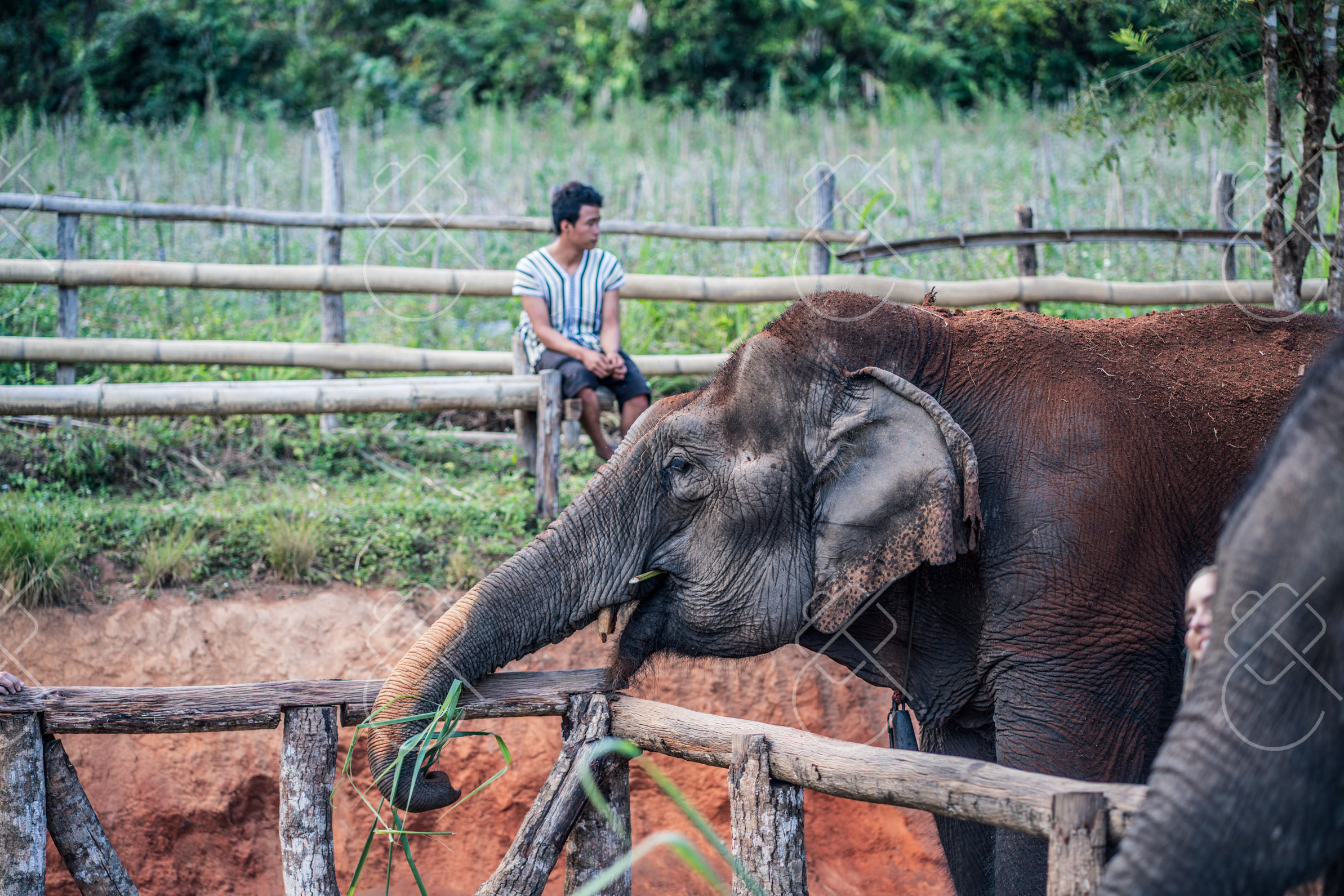 Chiang Mai, Thailand, December 2022