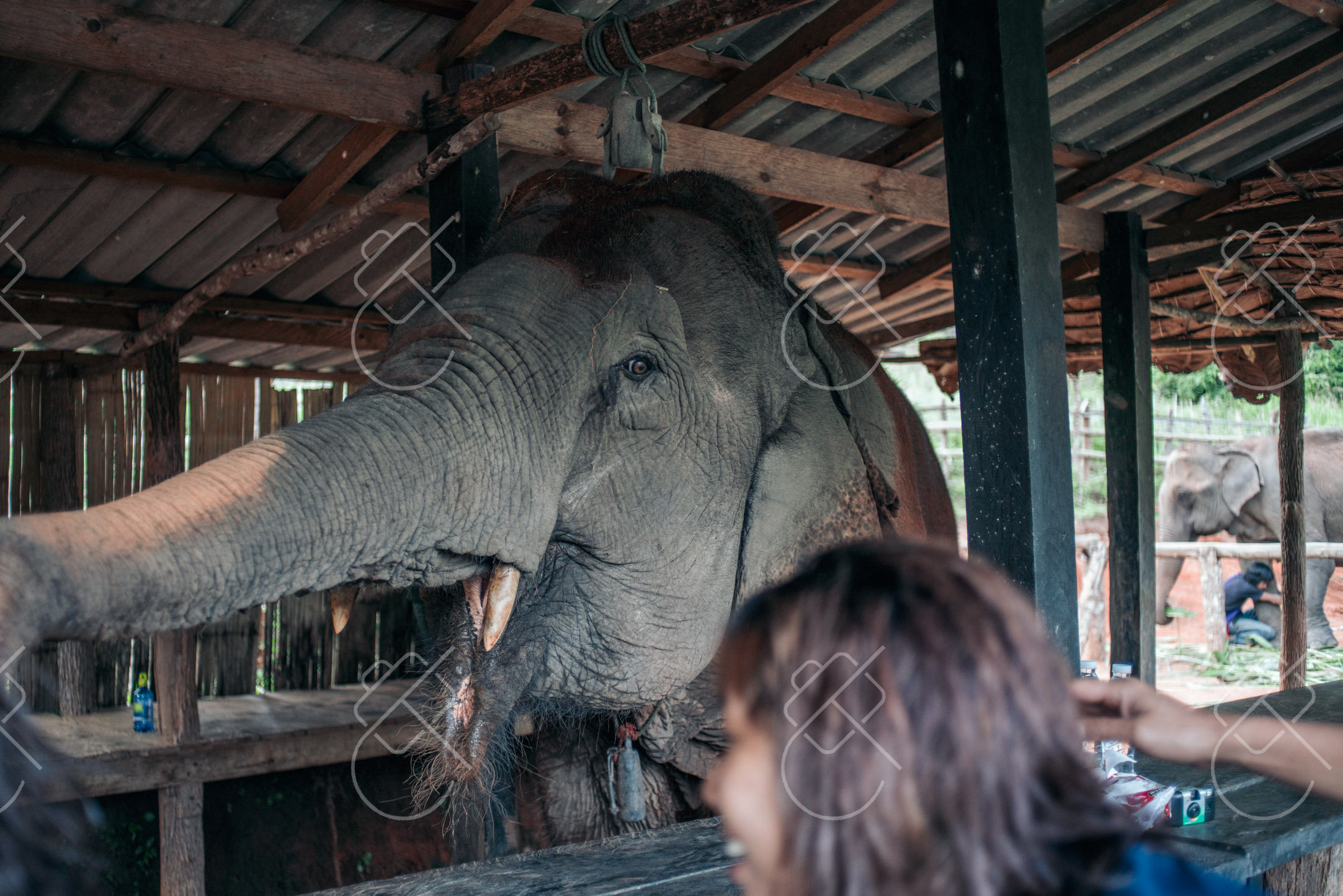 Chiang Mai, Thailand, December 2022