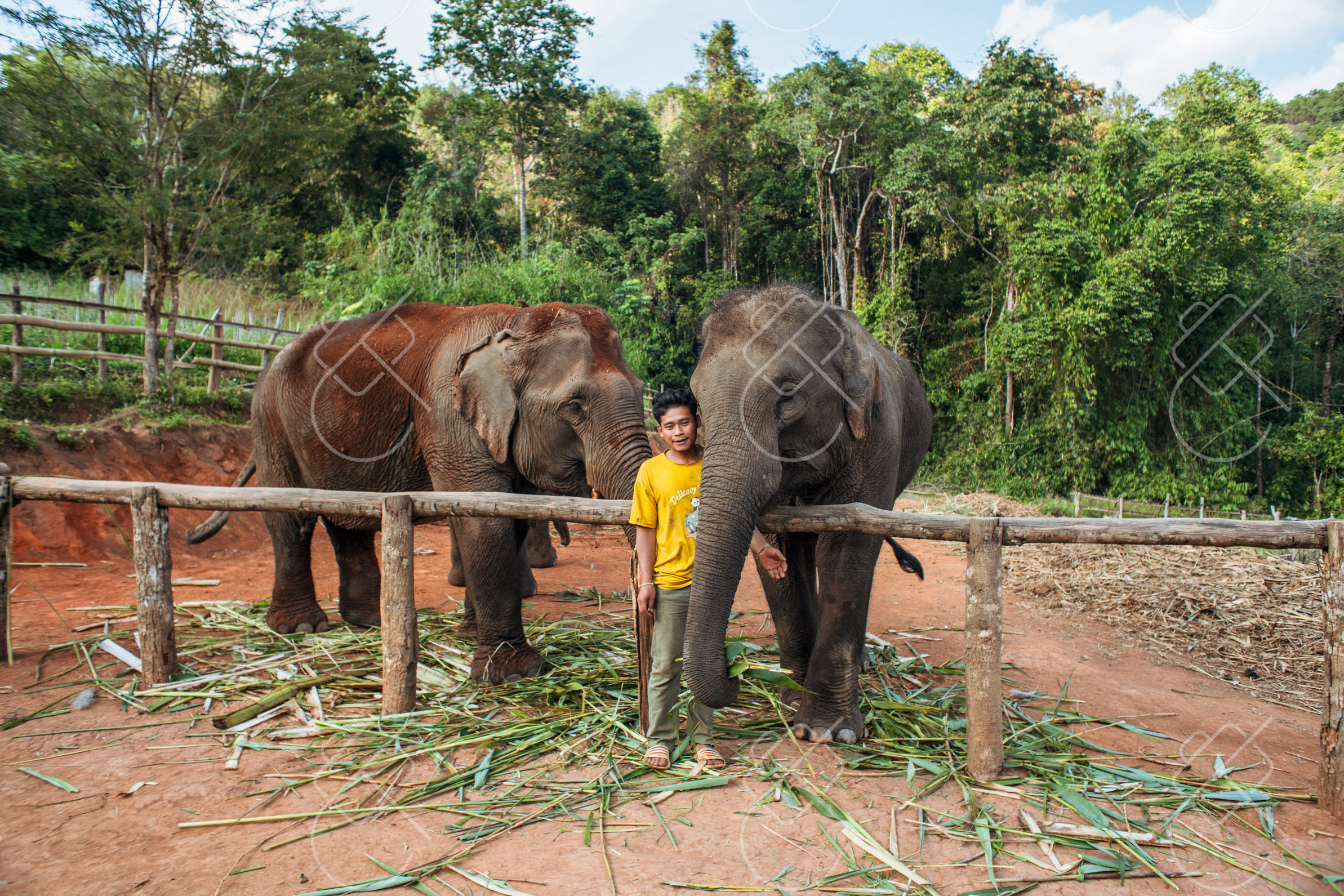 Chiang Mai, Thailand, December 2022