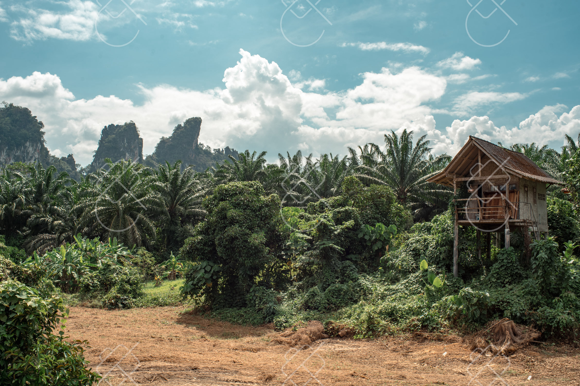 Khao Sok, Thailand, January 2023