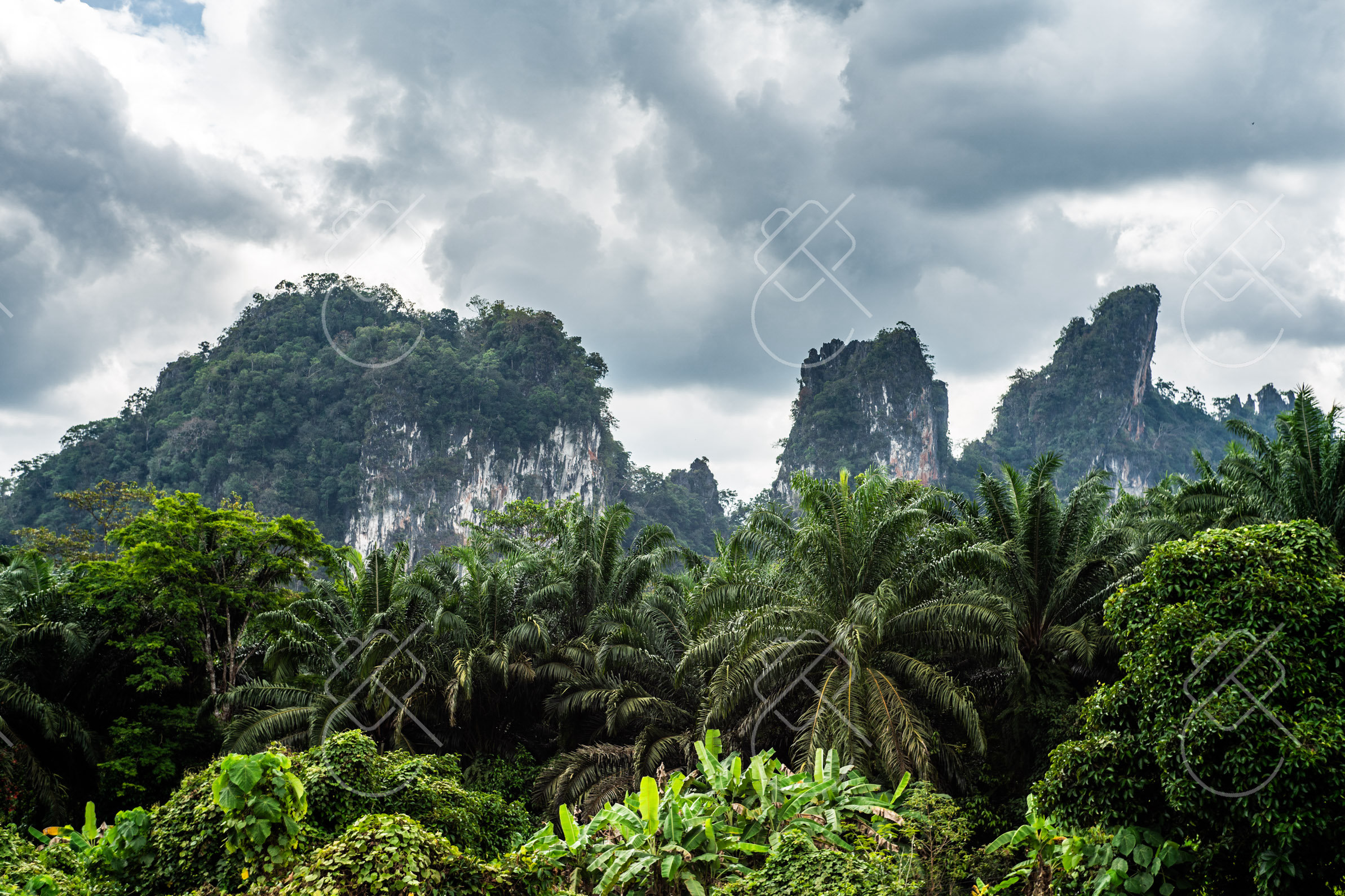 View & buy this print Khao Sok — fine art travel photography print available from Clever Tourists