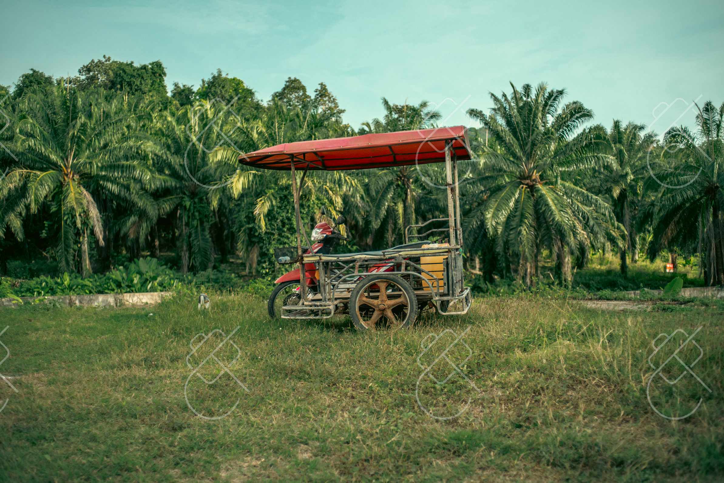 Bali vs Thailand: Which Is Better for Beaches, Budget, Culture and Timing?