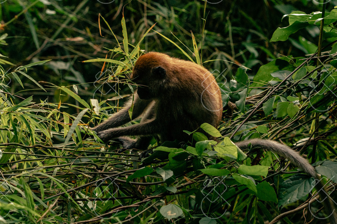 View & buy this print Ao Nang, Thailand — Nature