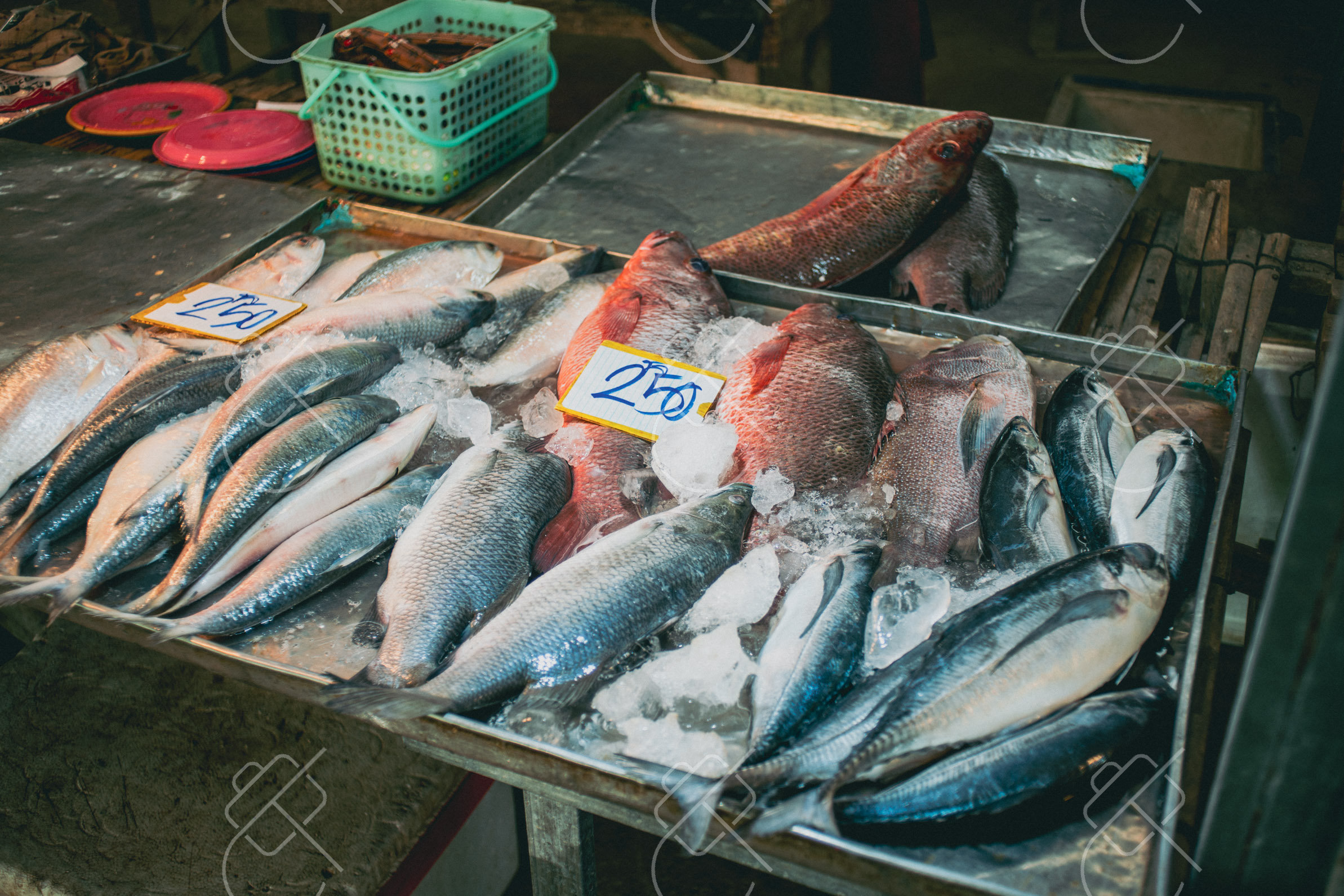 Ao Nang, Thailand, January 2023