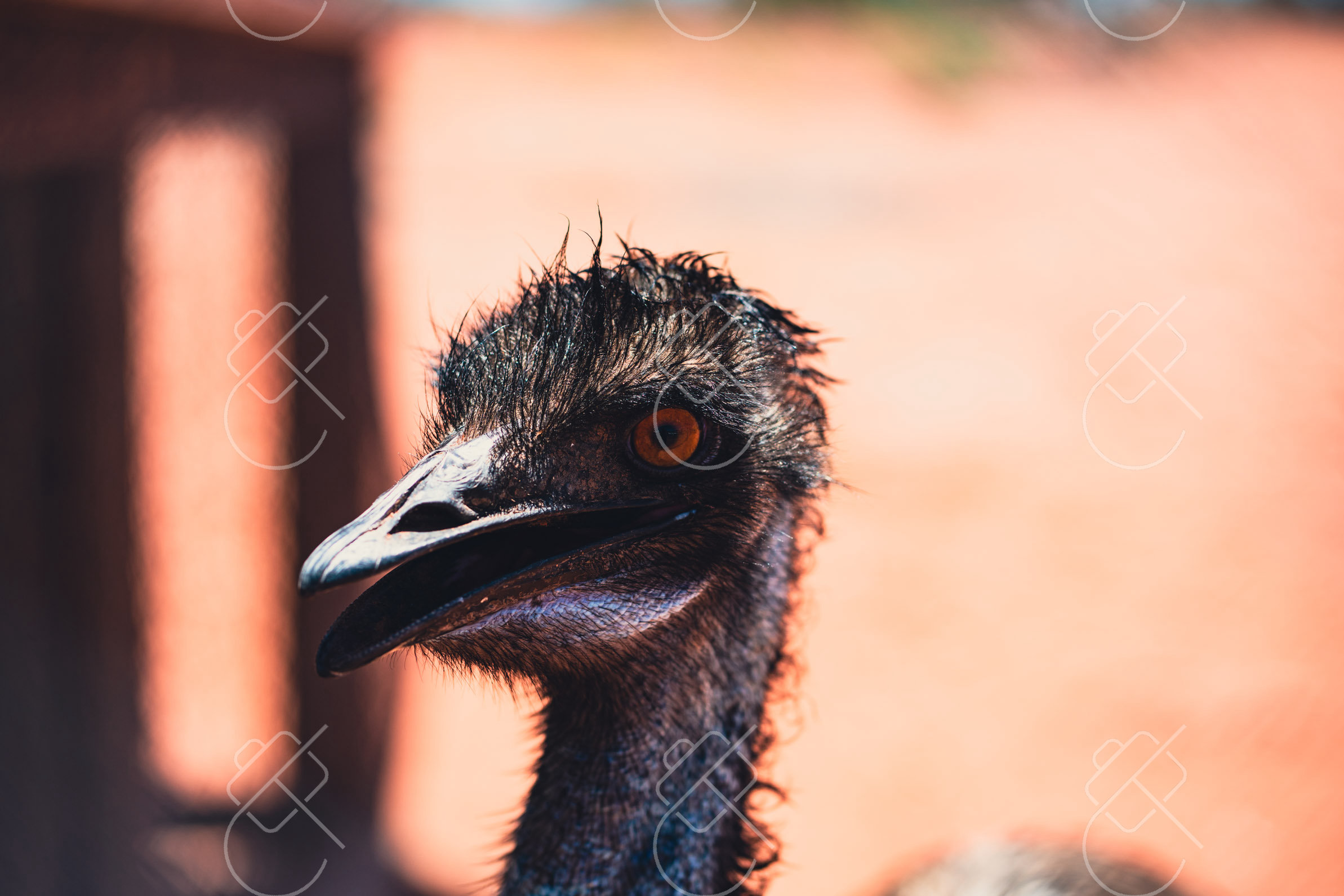 Alice Springs, Australia, February 2023