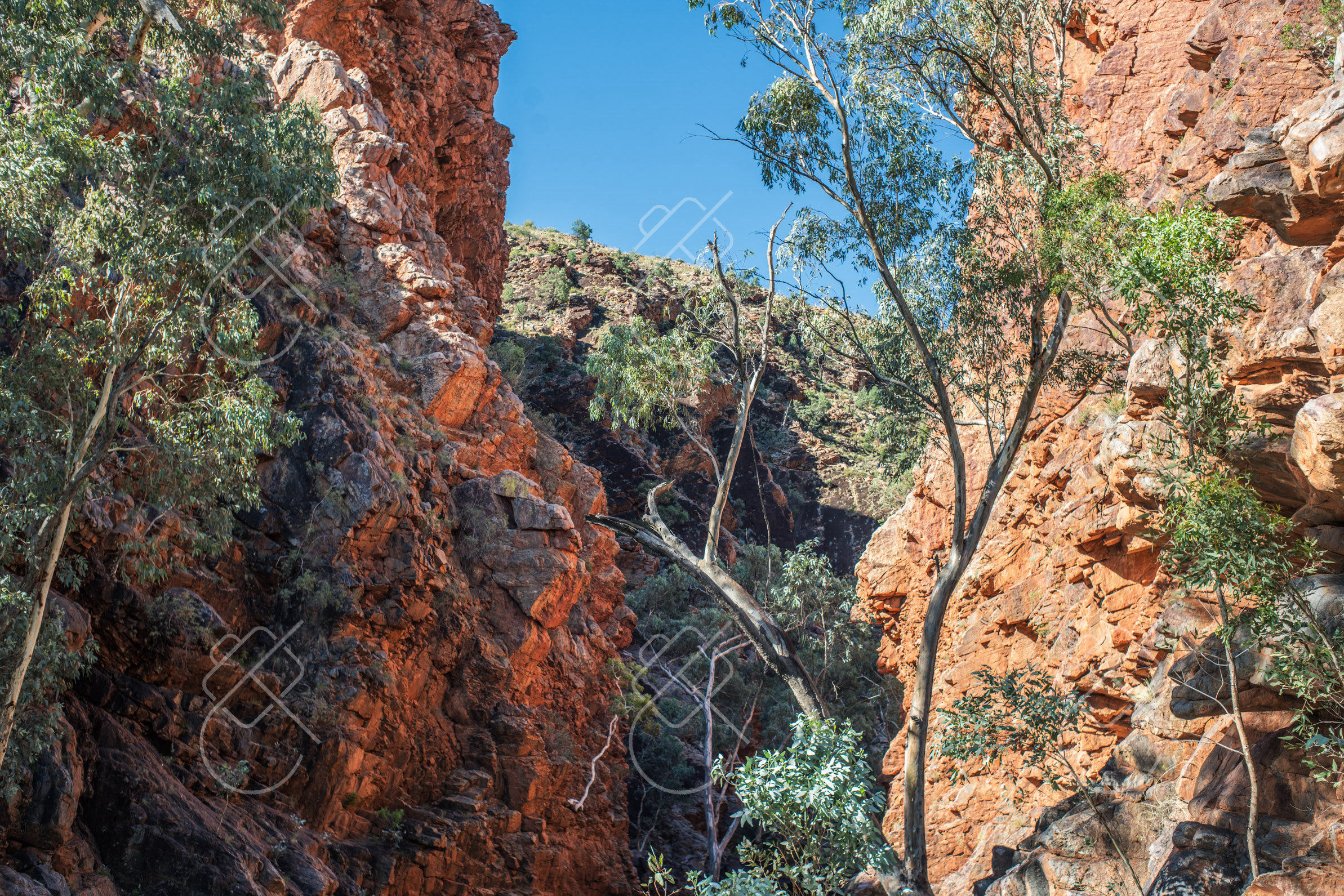 Alice Springs, Australia — travel photograph, February 2023