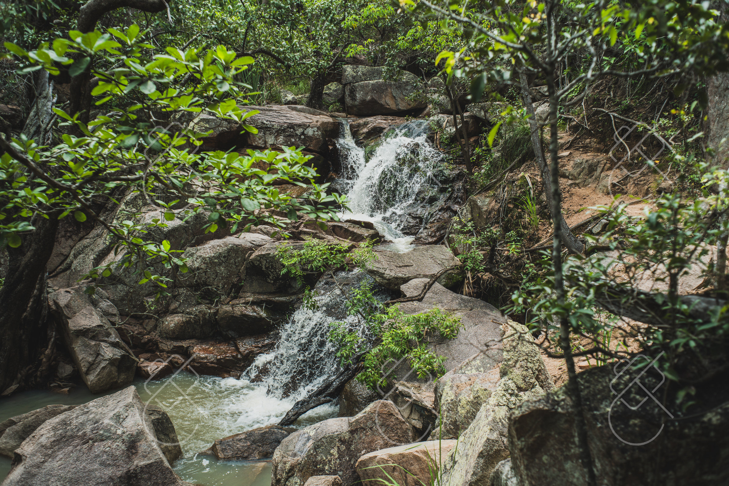 Magnetic Island, Australia, February 2023