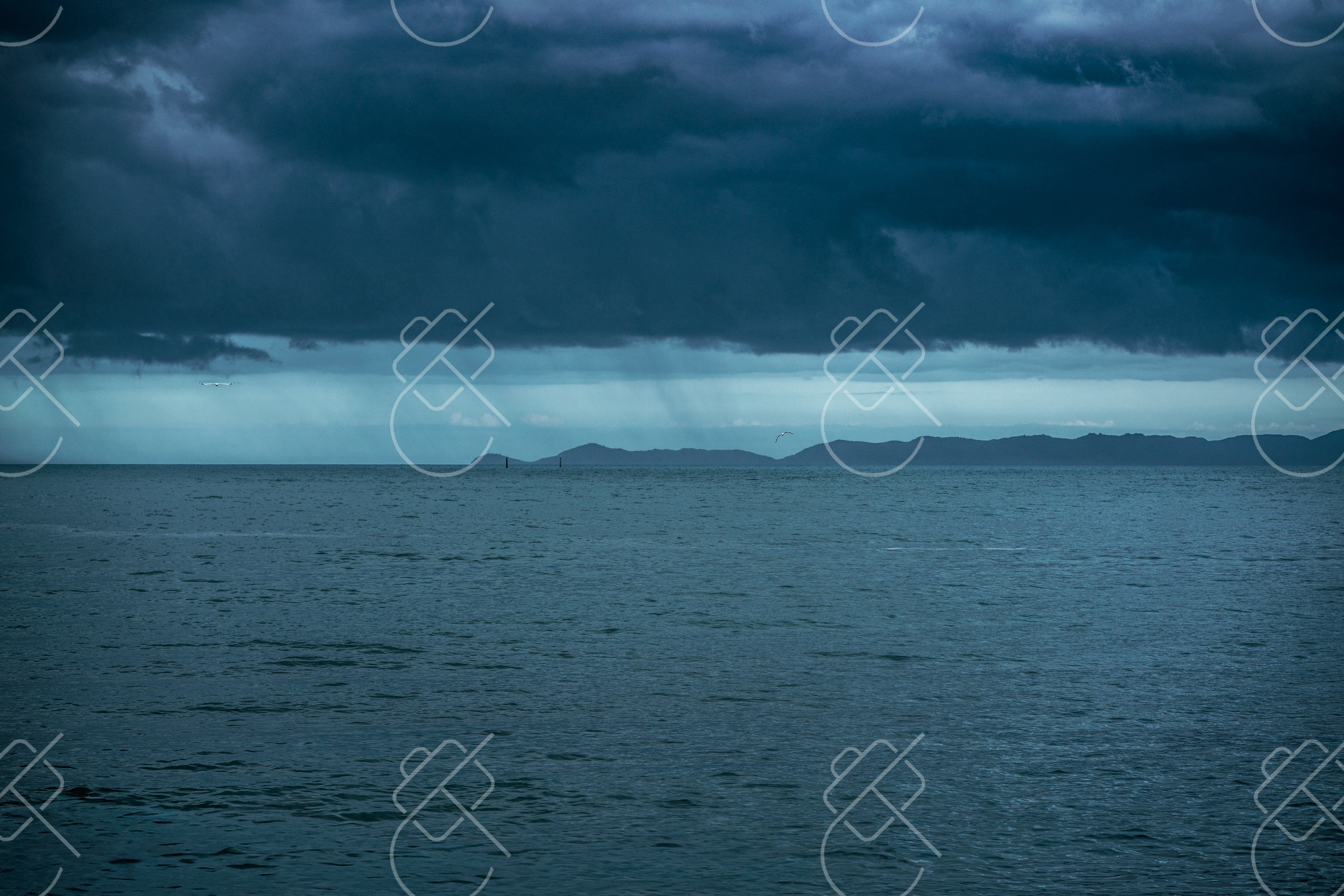 Magnetic Island, Australia, February 2023