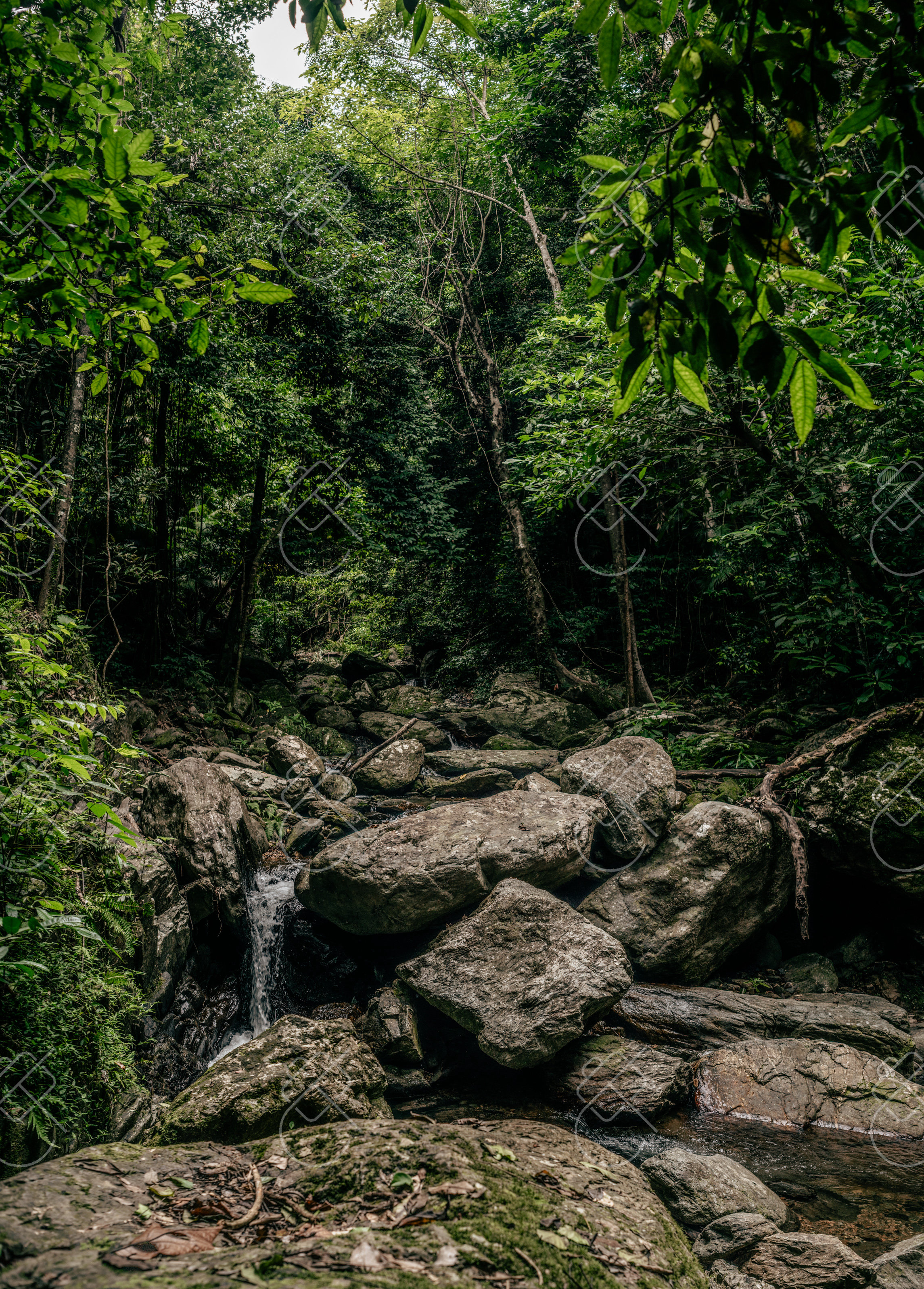 How Many Days in Cairns? 3 Days for the Reef and Rainforest, Plus the Daintree (We Spent 3)