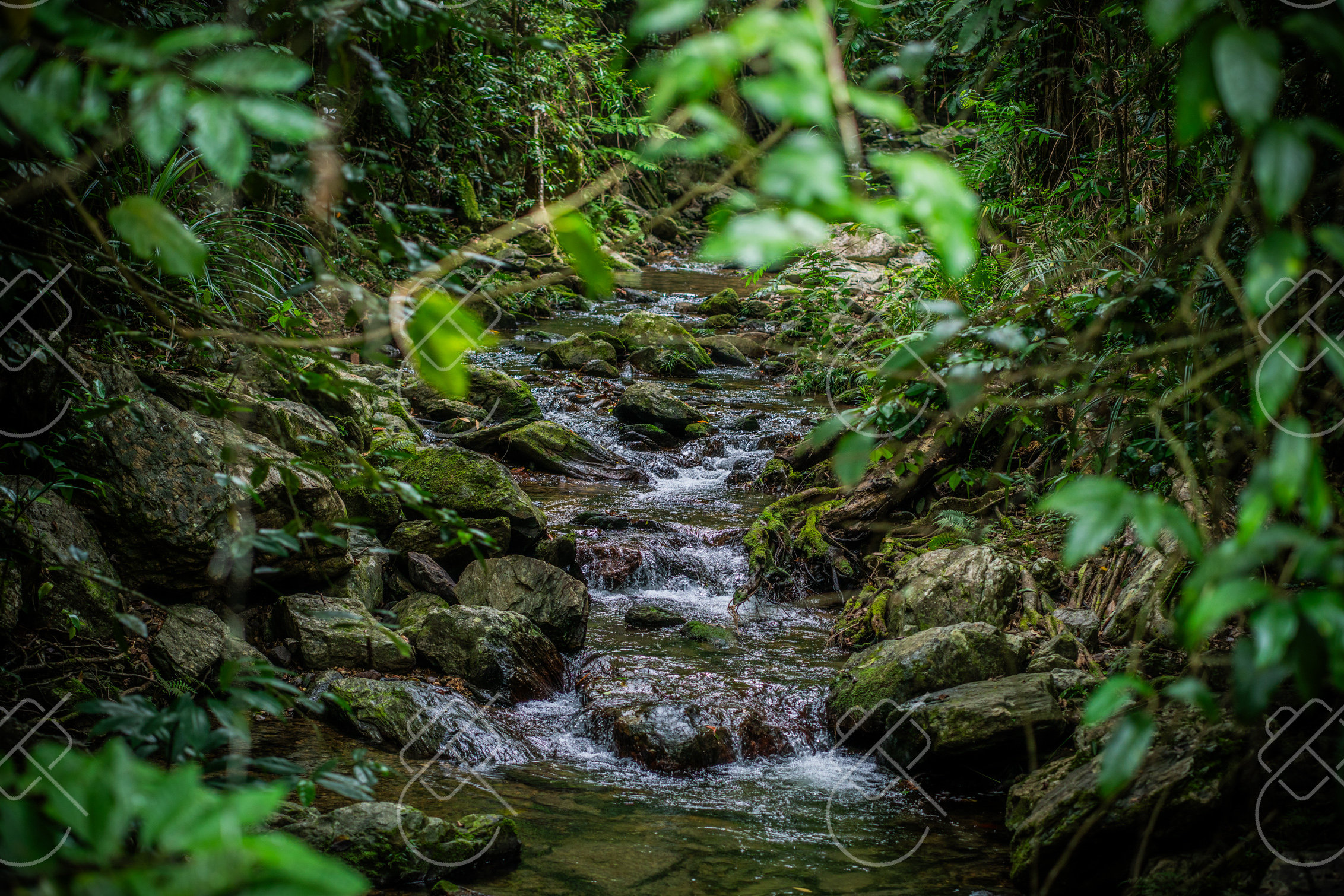 Cairns, Australia, February 2023